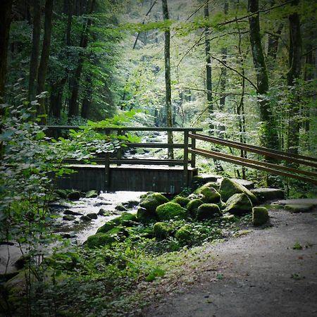 Fewo Kedo Neukirchen vorm Wald エクステリア 写真