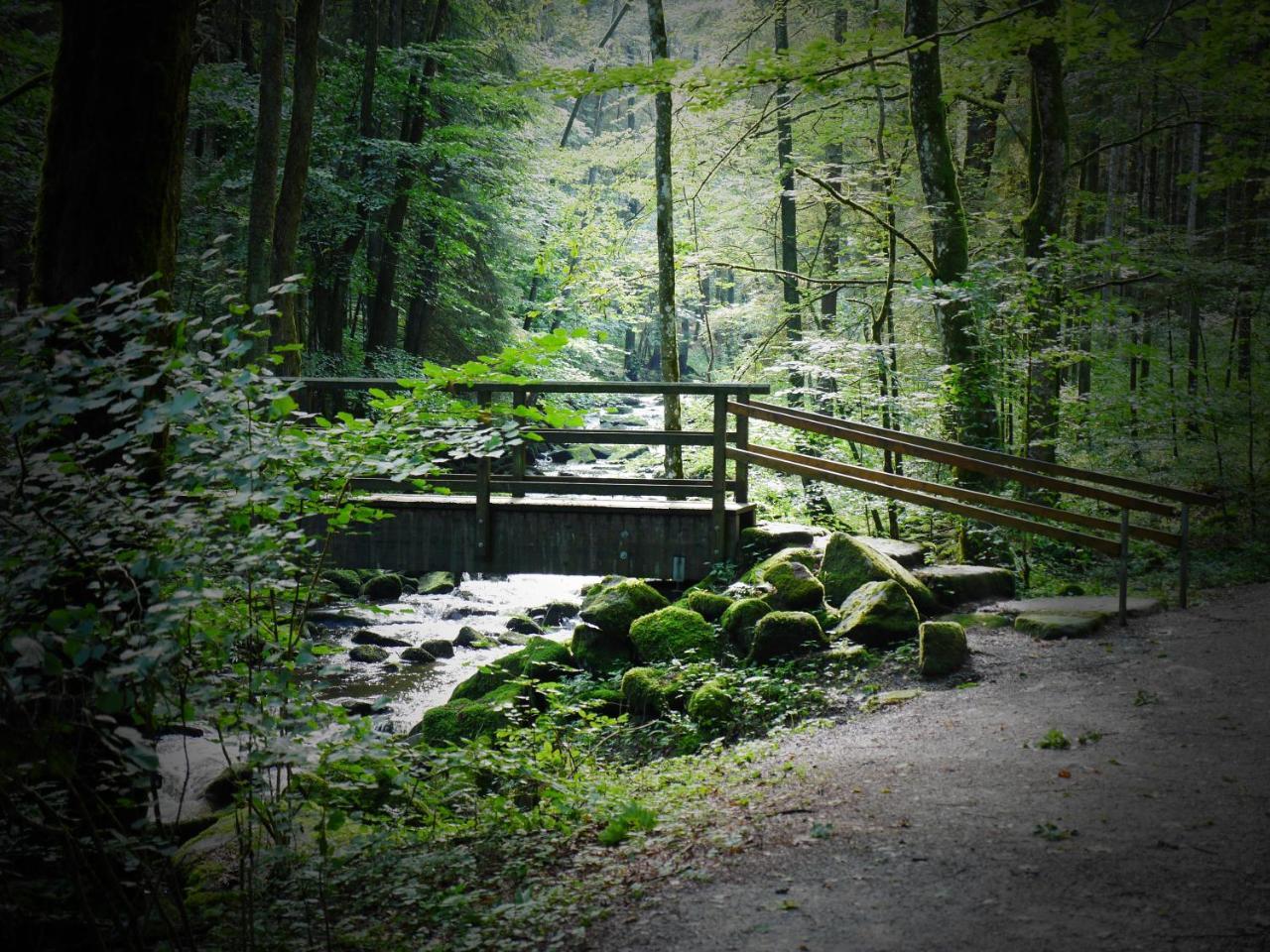 Fewo Kedo Neukirchen vorm Wald エクステリア 写真