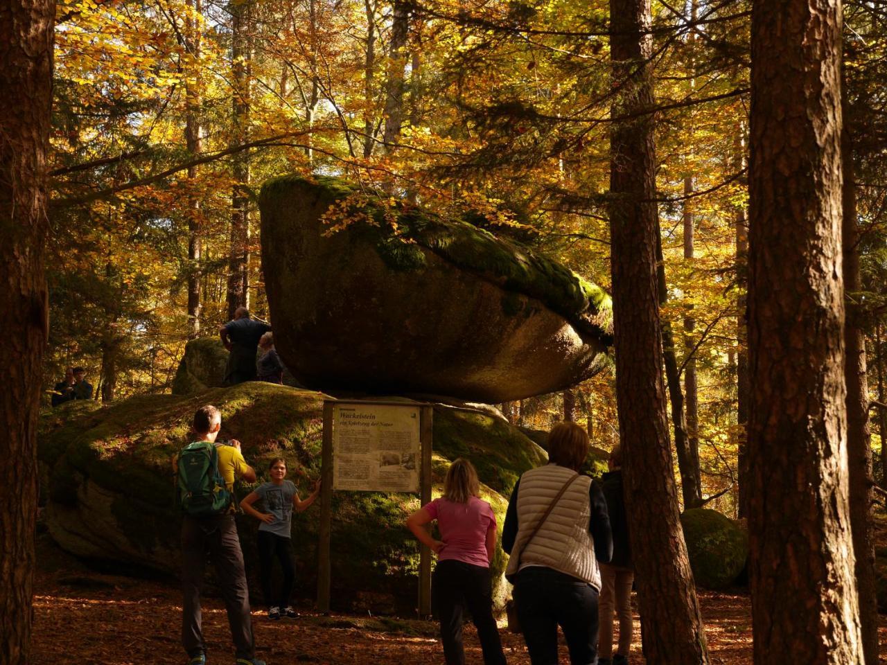 Fewo Kedo Neukirchen vorm Wald エクステリア 写真