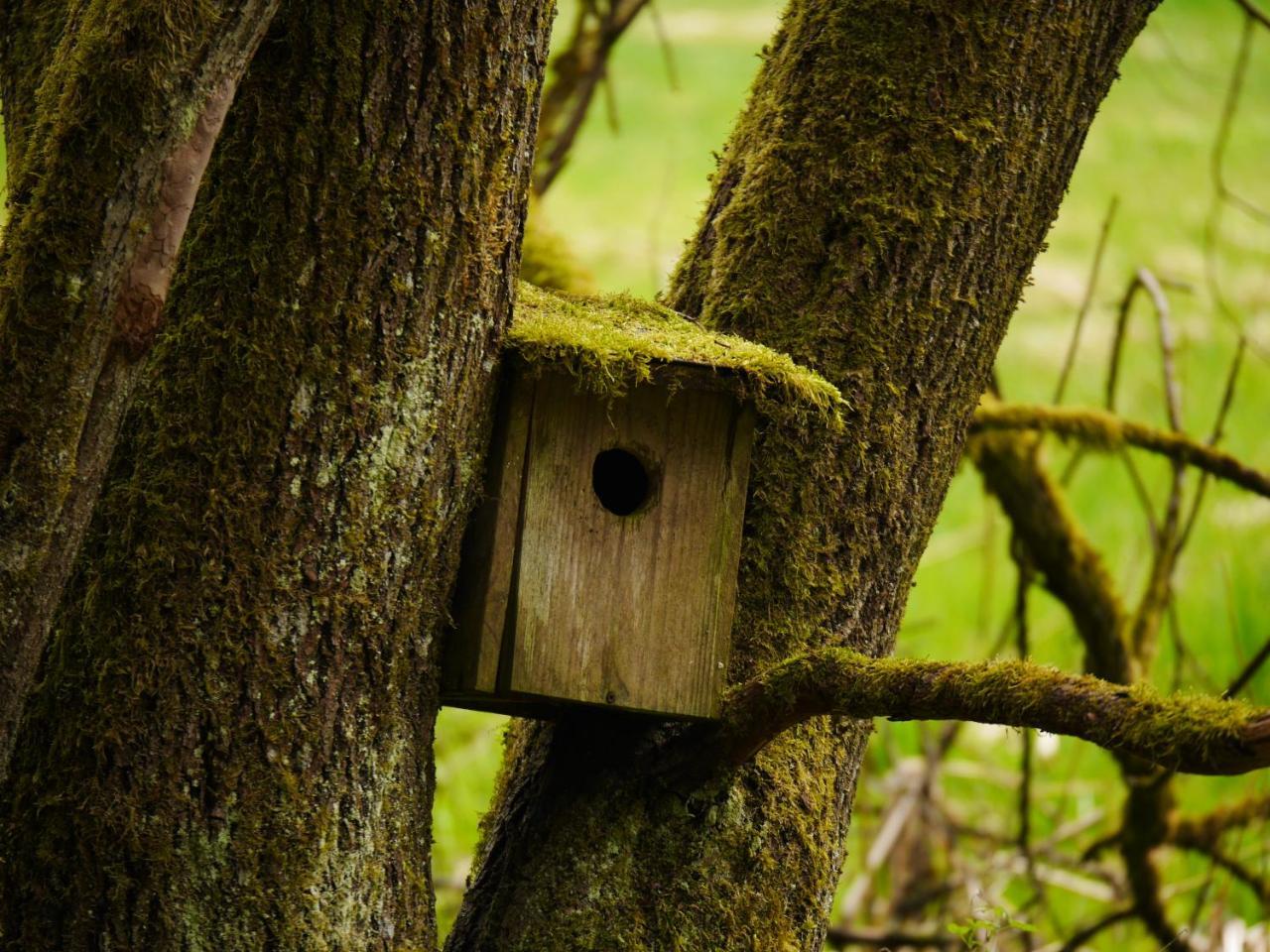 Fewo Kedo Neukirchen vorm Wald エクステリア 写真