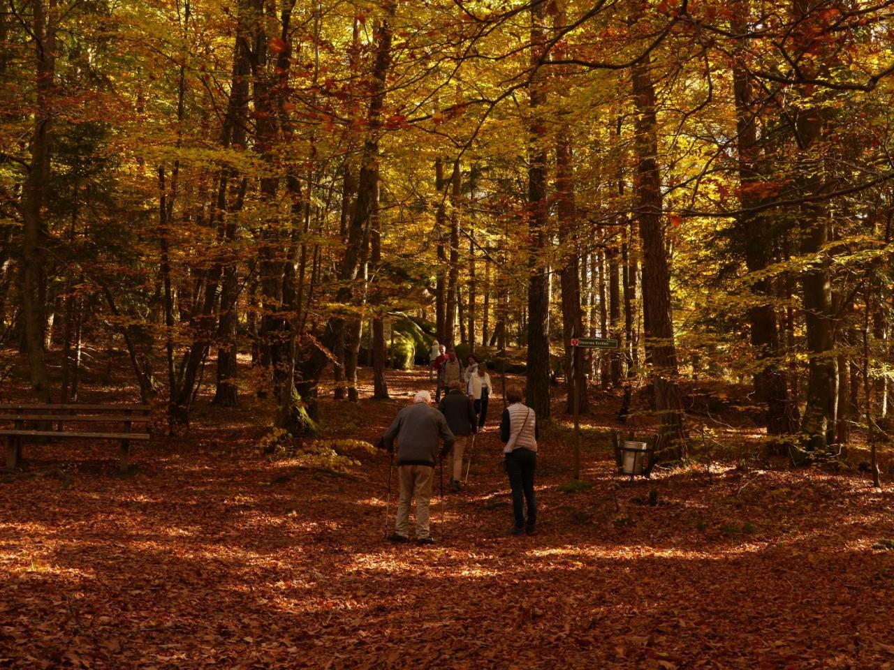 Fewo Kedo Neukirchen vorm Wald エクステリア 写真