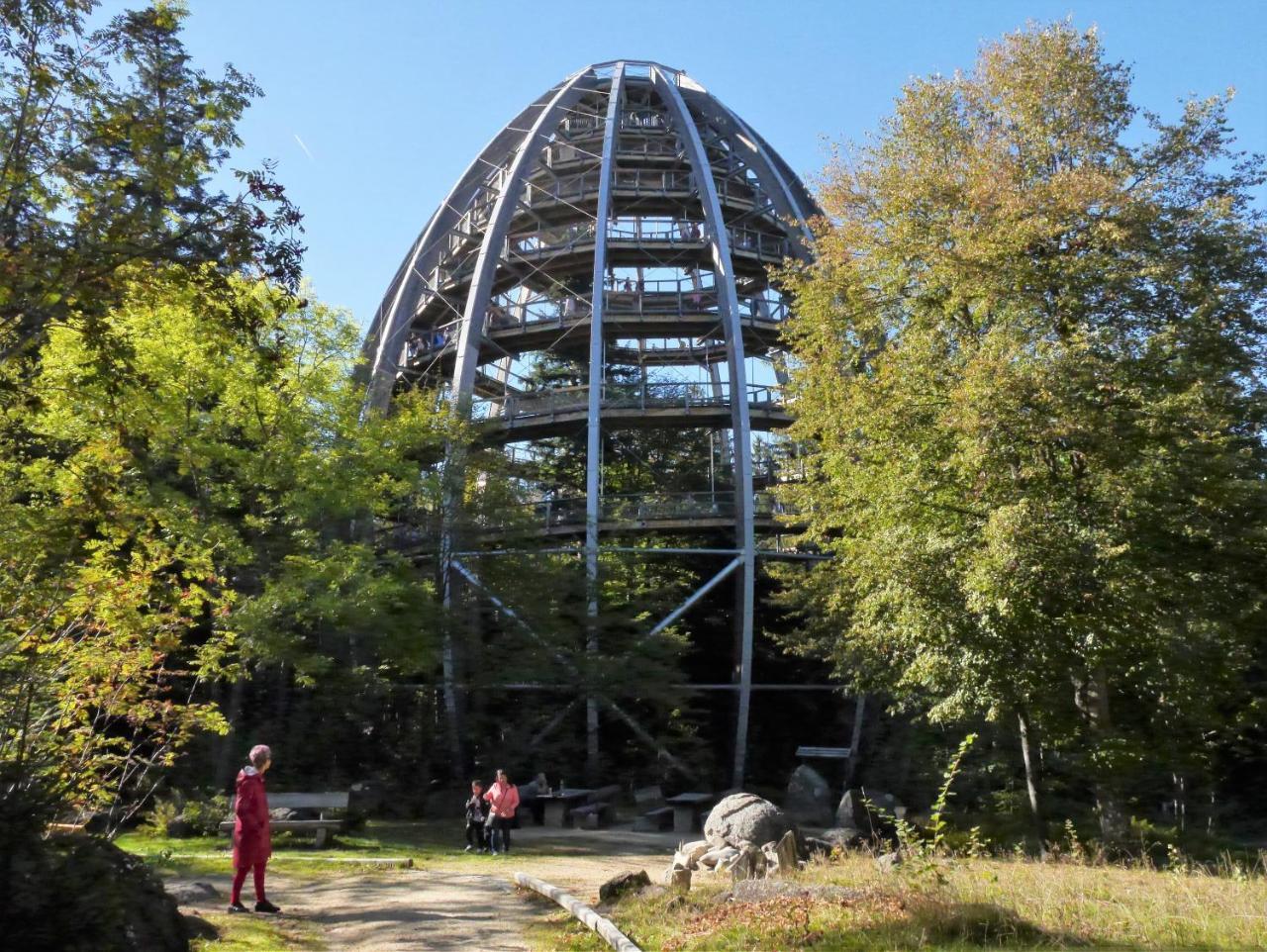 Fewo Kedo Neukirchen vorm Wald エクステリア 写真